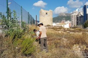 Brigadas de la Conselleria de Medio Ambiente realizan el seguimiento de la microreserva de Banys de la Reina - (foto 3)