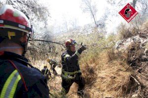 L'incendi de Monòver calcina ja 140 hectàrees després de quasi un dia actiu