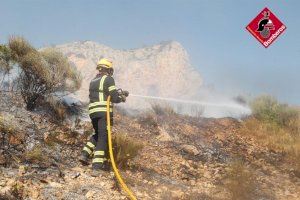 Detingut un home per l'incendi forestal de Monòver