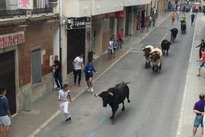 L'Ajuntament de Llíria i la Federació de Penyes Taurines de la localitat decidixen posposar la Setmana Taurina definitivament a 2021