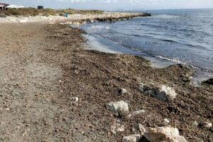 Compromís per Santa Pola denuncia el “lamentable” estado de la “Caleta dels Gossets”