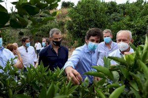 Ciutadans proposa un pla per a modernitzar l'agricultura, enfortir-la en l'exterior i lluitar contra les plagues