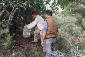 Club de Caçadors de Puçol: 70 anys vetlant per l'equilibri dels ecosistemes locals