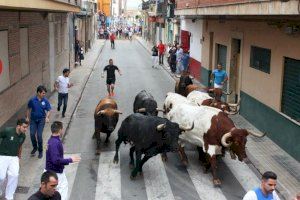 Mesures de prevenció per a la volta de bous al carrer