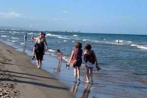 Nous brots a Xirivella, Guadassuar i Cullera i 79 casos en una sola jornada