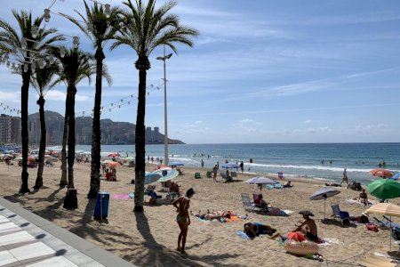 Creix el brot familiar de Benidorm i afecta a l'entorn social
