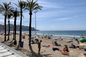 Creix el brot familiar de Benidorm i afecta a l'entorn social