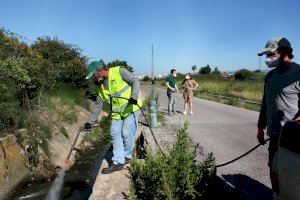 Castelló cobreix més de 20 hectàrees de la zona costanera amb tractaments antimosquits extraordinaris