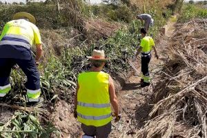 El pla d'ocupació del SEPE, un complement salarial per als treballadors almussafenys del sector agrari