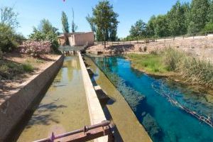 Transició Ecològica organitza tres activitats a l'estiu per a posar en valor les colònies de rates penades del Molí la Font