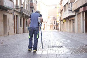 Alaquàs intensifica el Pla de Prevenció contra el mosquit tigre durant els mesos d’estiu