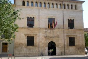 El Ple de l’Ajuntament d’Alzira aprova una ordenança per al control del mosquit tigre amb rellevància per a la salut pública El Ple de l’Ajuntament d’Alzira aprova una ordenança per al control del mosquit tigre amb rellevància per a la salut pública