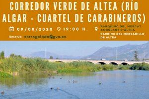 El Parque Natural Serra Gelada y las concejalías de Turismo y Medio Ambiente organizan una ruta por el Corredor Verde de Altea