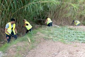 L'Ajuntament de Massalavés intensifica les labors de desbrossament i neteja dels camins del terme rural