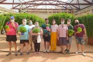 El Programa PRISMA de la Mancomunitat Camp de Túria visita el Huerto de les Alfàbegues de Bétera