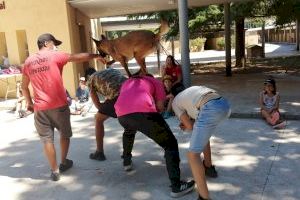 "Amics Peluts" sigue educando en valores durante el verano 2020 de Alcoy