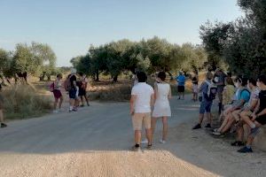 La ruta por los olivos de Canet Lo Roig congrega un nutrido número de participantes