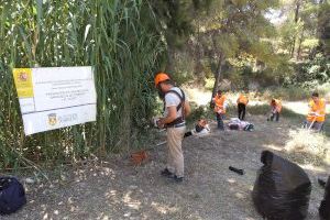 Las 24 personas contratadas para labores de prevención y limpieza contra incendios en Torrent avanzan a buen ritmo en El Vedat y barrancos