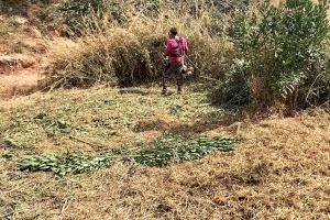 El Ayuntamiento de Betxí limpia los barrancos locales para evitar riesgos frente a las lluvias torrenciales