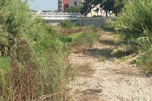 Algemesí retira 3,2 toneladas de basura del cauce del río Magre