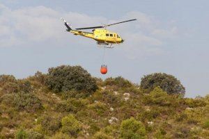 Estabilizado, pero no controlado, el incendio de la Vall de Gallinera, que ha arrasado más de 160 hectáreas - (foto 4)