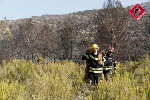 Estabilizado, pero no controlado, el incendio de la Vall de Gallinera, que ha arrasado más de 160 hectáreas - (foto 3)