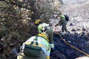 Estabilizado, pero no controlado, el incendio de la Vall de Gallinera, que ha arrasado más de 160 hectáreas - (foto 2)