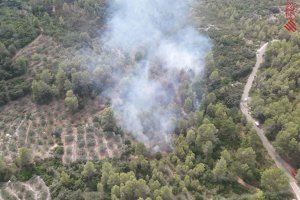 Un incendi a Barx mobilitza a 7 dotacions aèries