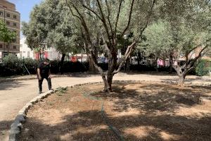 Augmenta el reg als parterres del parc de l'Alquenència dins del pla d'emergència per les elevades temperatures