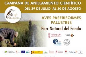 El proyecto LIFE Paludicola amplía sus zonas de monitoreo al Parque Natural El Hondo de Elche