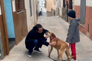 Onda renueva su compromiso por el sacrifico 0 de animales de compañía y mejora el servicio de adopción