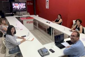 El PSPV-PSOE de la província de Castelló aprova una resolució per a incentivar la participació dels joves en el partit i institucions