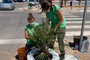 L´alumnat del programa "Et Formem" de Nules col·labora en l´embelliment urbà del municipi