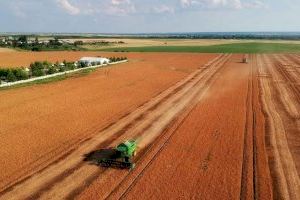 El moderat impacte de la COVID-19 en el sector agro