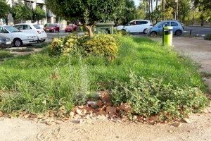 Alerten de falta de poda i "deixadesa" en la cura dels jardins de la Gran Via de València