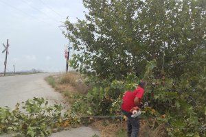 L’Ajuntament de Xàtiva realitza més de 80 accions de desbrossament, neteja i reparació de camins i vials del terme municipal