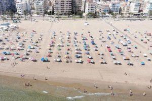 La història es repeteix a la platja de Gandia