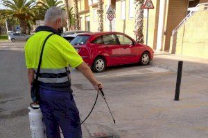 Catarroja intensifica la lluita contra el mosquit amb més mitjans i un expert que farà un estudi de la población