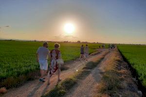 El Museu de l´Arròs amplia fins a finals d´any les rutes guiades gratuïtes per l´Albufera posades en marxa després del confinament - (foto 2)