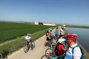 El Museu de l´Arròs amplia fins a finals d´any les rutes guiades gratuïtes per l´Albufera posades en marxa després del confinament - (foto 3)