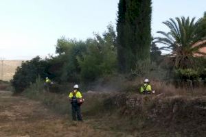 Alcalà de Xivert realitza neteges de vegetació com a prevenció davant pròximes pluges