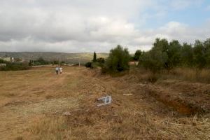Alcalà de Xivert realitza neteges de vegetació com a prevenció davant pròximes pluges - (foto 2)