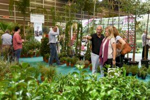 Iberflora lanza el primer Marketplace digital de Feria Valencia y traslada su celebración presencial a 2021