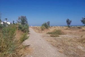 Denuncian abandono y falta de limpieza en el entorno de la playa de la Malvarrosa de Burriana Denuncian abandono y falta de limpieza en el entorno de la playa de la Malvarrosa de Burriana