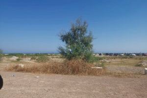 Denuncian abandono y falta de limpieza en el entorno de la playa de la Malvarrosa de Burriana - (foto 4) Denuncian abandono y falta de limpieza en el entorno de la playa de la Malvarrosa de Burriana - (foto 4)