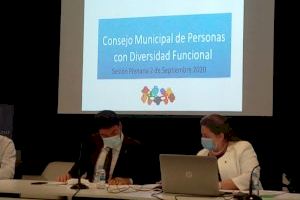 El Pleno del Consejo de Personas con Diversidad Funcional refrenda las conclusiones de la Subcomisión de Movilidad para la Recuperación y editará una Guía de Buenas Prácticas