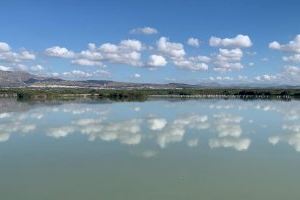 El parque natural de El Hondo estrena un observatorio de aves - (foto 2)