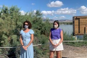 El parque natural de El Hondo estrena un observatorio de aves - (foto 3)