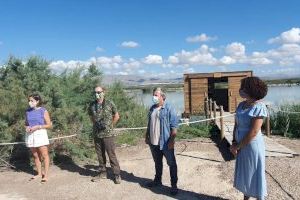 El parque natural de El Hondo estrena un observatorio de aves - (foto 5)