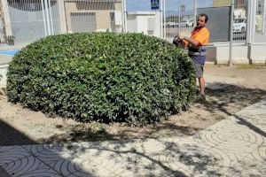 Bonrepòs i Mirambell refuerza la limpieza y desinfección del CEIP Mare de Déu del Pilar